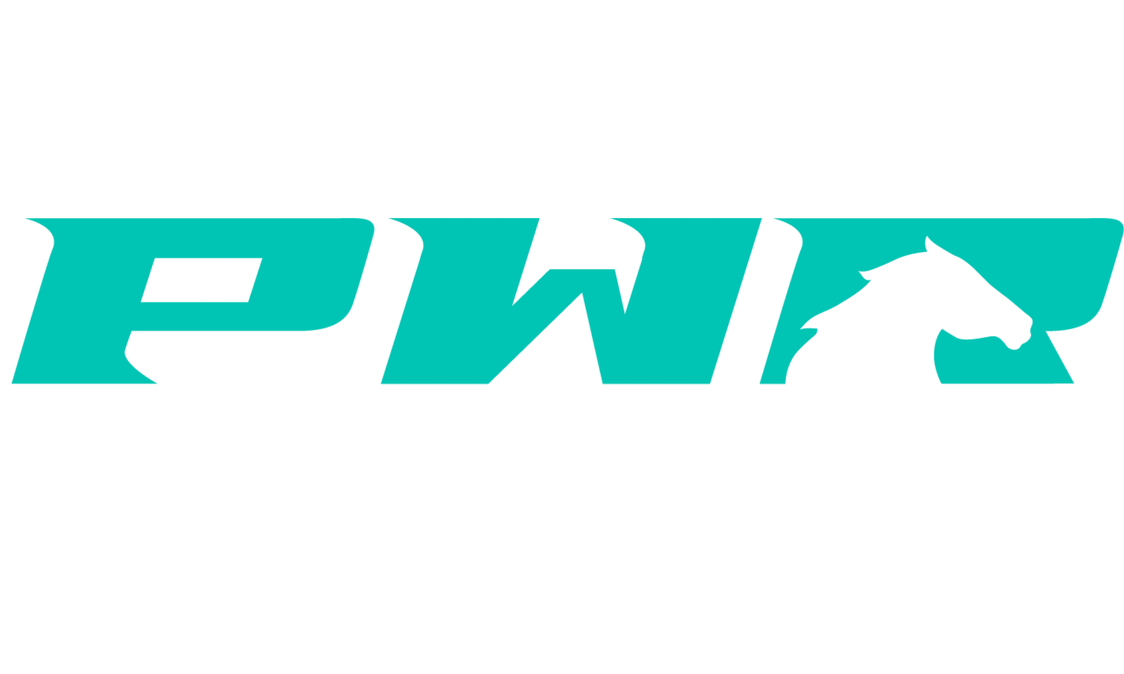 Premier Women's Rodeo