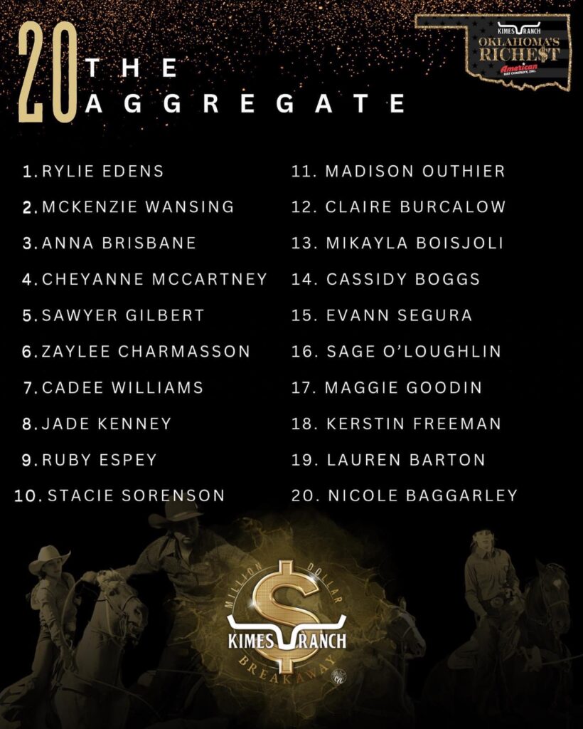 20th Annual Roadies: The Aggregate Poster with Rugged Bull Logo and Participant Lineup.
